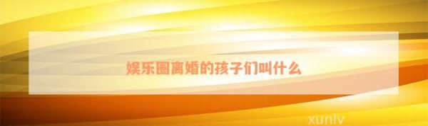 娱乐圈离婚的孩子们叫什么