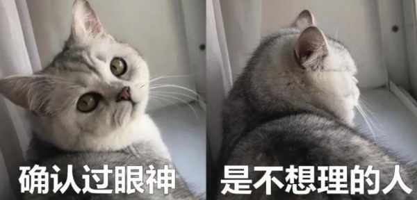 探究亲密关系中的互动模式，我们发现了这些