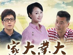 家大业大 英达