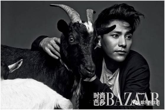当红鲜肉演技太差还无法吐槽?看看十年前的一线明星