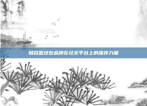 知名篮球包品牌在社交平台上的推荐力量