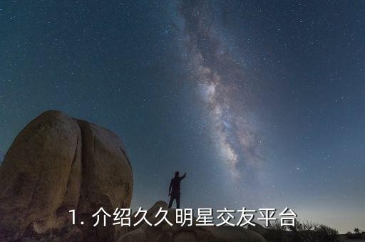 1. 介绍久久明星交友平台