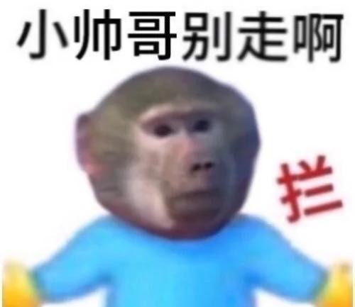 Robert Wun：时尚新星✨