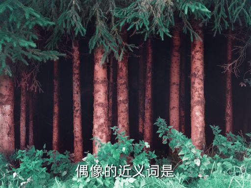 偶像的近义词是