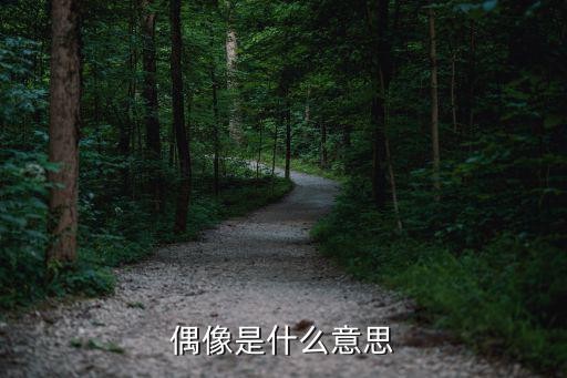 偶像是什么意思