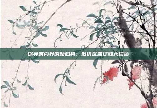 探寻时尚界的新趋势:低价区篮球鞋大揭秘