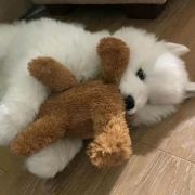 #长在你笑点上的综艺...