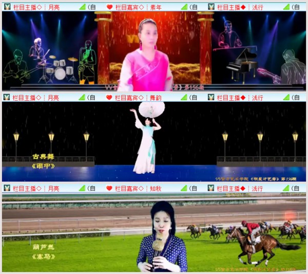 执白V娱热点