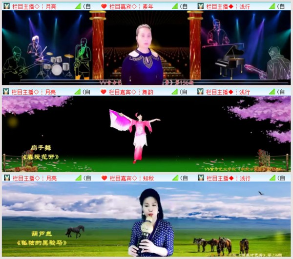 执白V娱热点
