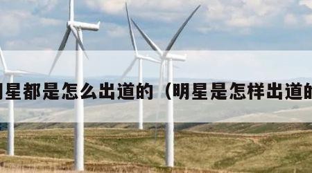 明星都是怎么出道的（明星是怎样出道的）