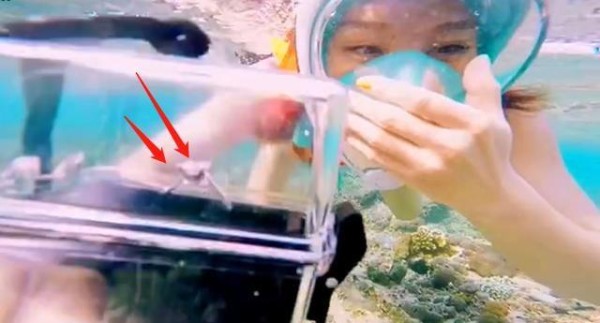 细扒各明星深情求婚方式：汪峰最壕，周杰伦最浪漫