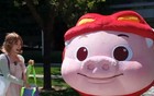 刘强东穿猪猪侠T恤现身日本街头：背后还有二维码