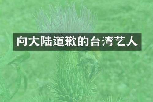 向大陆道歉的台湾艺人