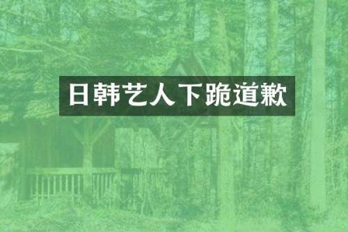 日韩艺人下跪道歉