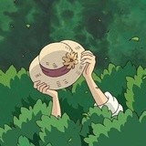 71