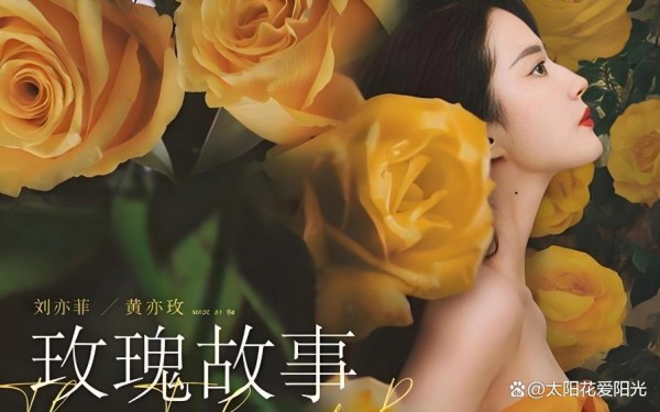 越南观众狂热追捧刘亦菲新剧，《玫瑰的故事》成收视黑马！