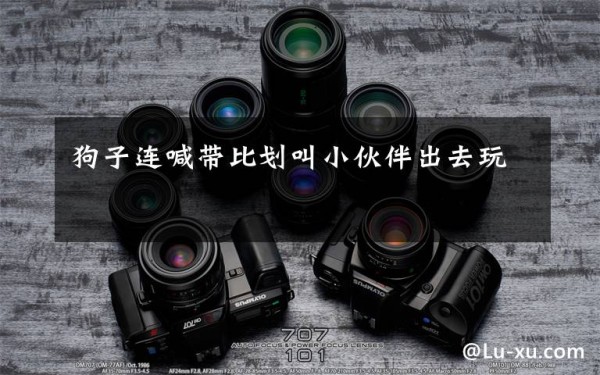 狗子连喊带比划叫小伙伴出去玩