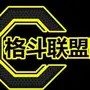 格斗联盟