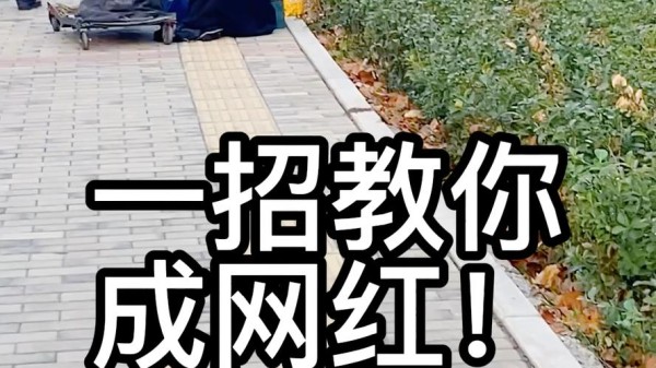 如何快速成为网红？揭秘成功秘诀与有效策略-图3