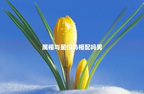 属相与星位马相配吗男