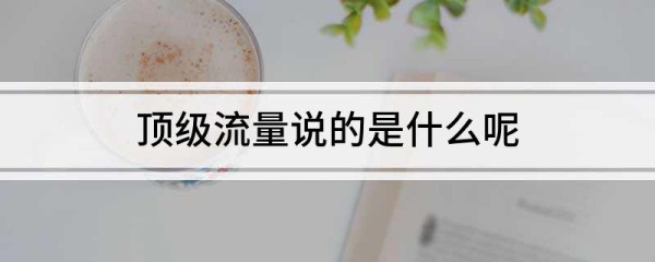 顶级流量说的是什么呢