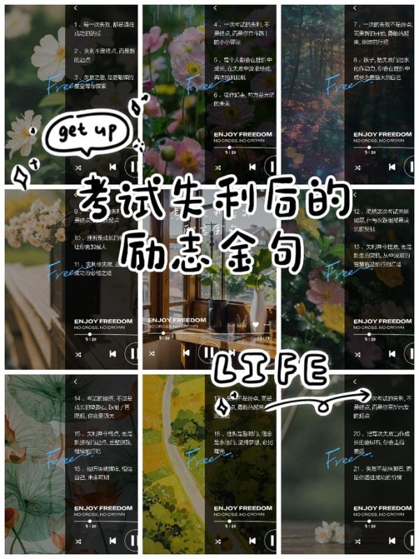 名人故事大全视频，探索星光背后的励志历程 第3张