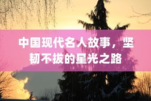 中国现代名人故事，坚韧不拔的星光之路 第1张
