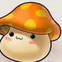 星星点灯生活号