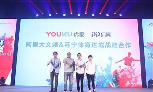 娱乐明星投资体育产业的风险与收益