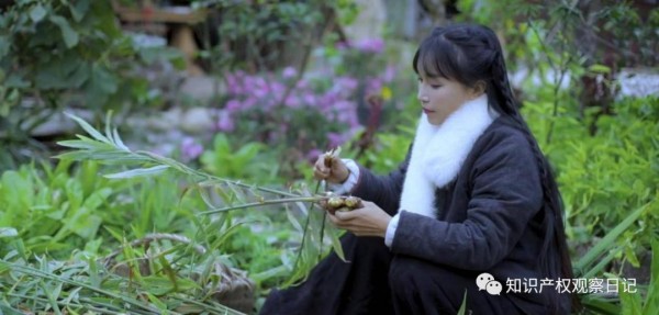 成为网红的法律必修课（一）——“单打独斗”还是“签机构”？