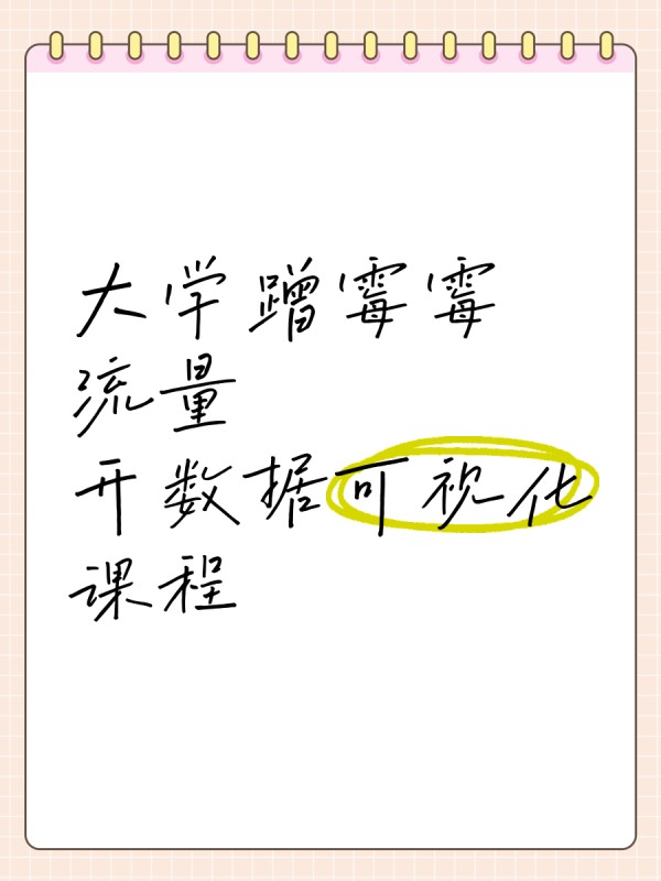 大学蹭霉霉流量，开数据可视化课程