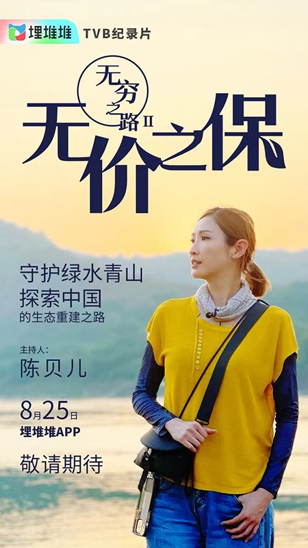 《无穷之路2：无价之保》