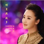 专辑图片 明月照故乡