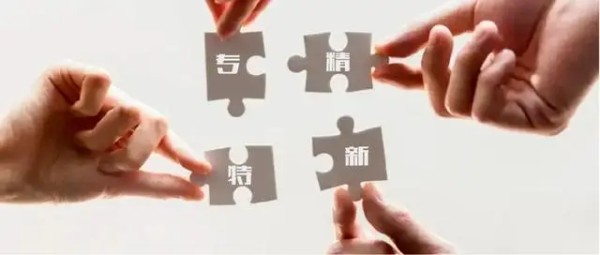 专精特新政策