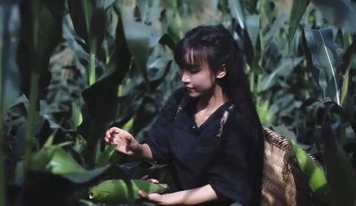 中国网红排行榜2021(中国知名十大网红排行榜)
