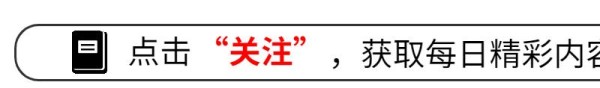 采用IP+知名演员的合作,有助于实现IP影视剧的价值最大化(图1)