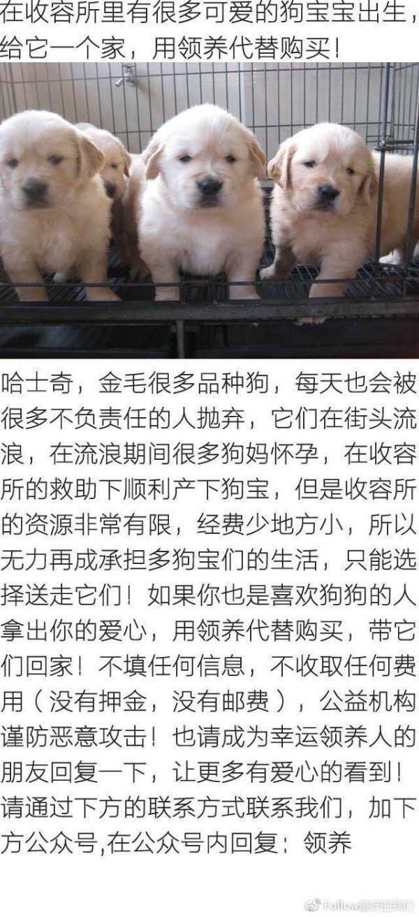 扒一扒娱乐圈中号称人气王的八大明星，汪涵深藏不漏