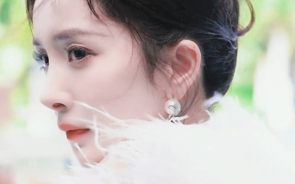 杨幂是白手起家一步一步成为知名女明星的吗