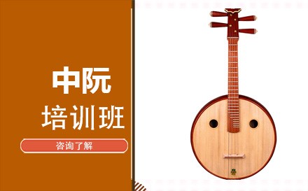 北京在线中阮培训班