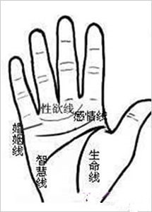 手相图解大全之感情线详解
