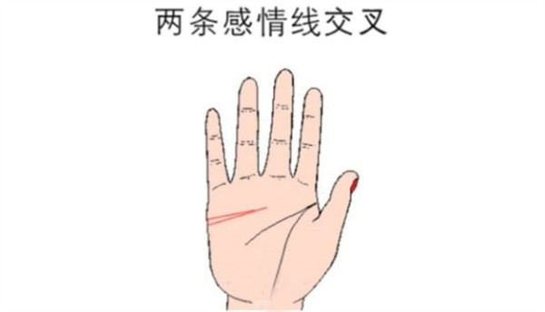 女人手掌纹路图解右手感情线 尾端分岔的感情线勇于尝试