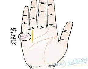多条婚姻线手相