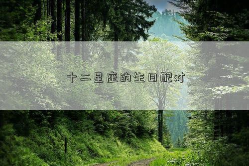 十二星座的生日配对