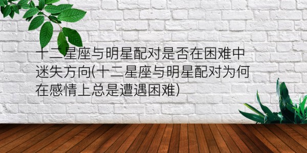 吉凶车牌表游戏截图