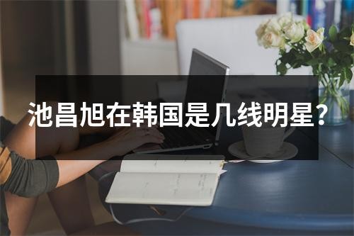 池昌旭在韩国是几线明星？