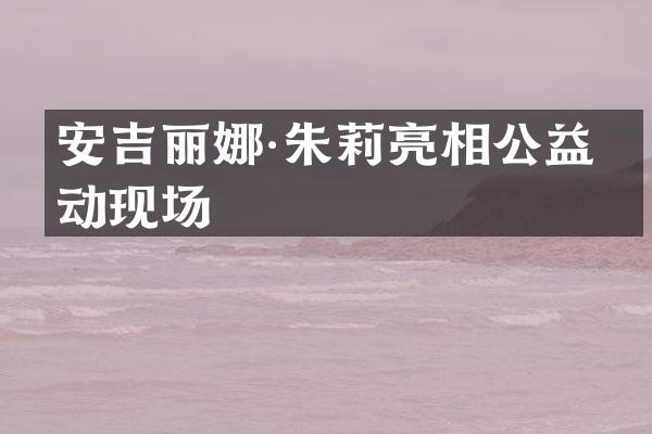 安吉丽娜·朱莉亮相公益活动现场