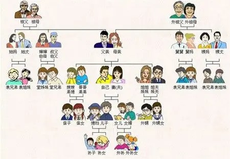 中国亲戚关系图，你分的清吗，你小时候叫错过吗？