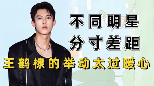 王鹤棣 分寸感_娱乐圈绅士风云录:六位明星用行动诠释分寸与风度