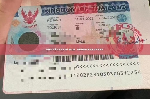 高晓松工作签证背后的入籍之路，揭秘明星移民背后的辛酸历程