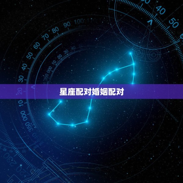星座配对婚姻配对，十二星座配对 第1张